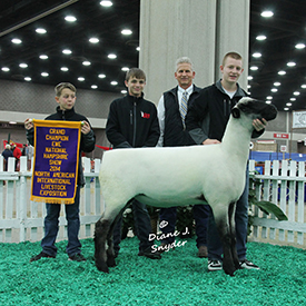 NAILE Winners
