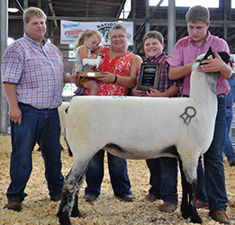 National Hampshire Sale