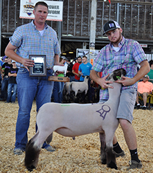 National Hampshire Sale