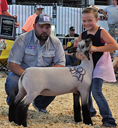 National Hampshire Sale
